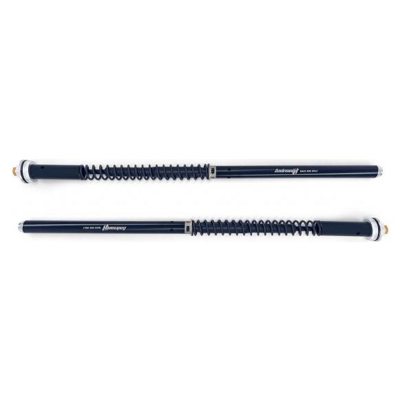 Cartouche Andreani Evolution à réglage hydraulique Aprilia RS 660 (2020)