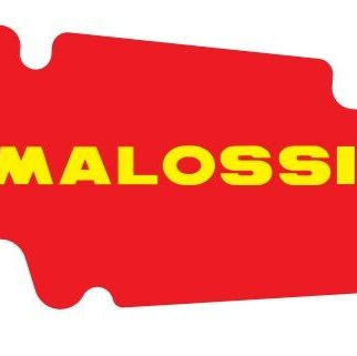 Filtre à air Malossi Red Sponge | Vespa 4T 